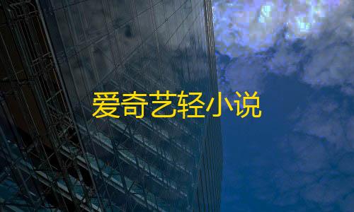 辅助低价发卡网爱奇艺轻小说